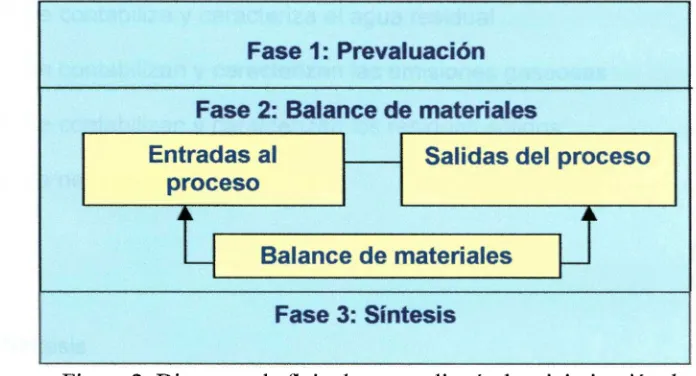 Figura 2: Diagrama de flujo de una auditoría de minimización de 