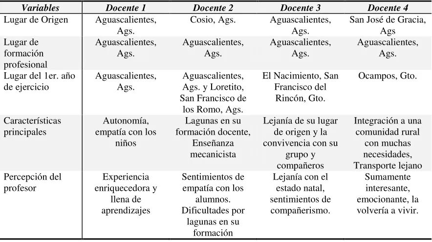 Tabla 11 Características del 1er. año de ejercicio 