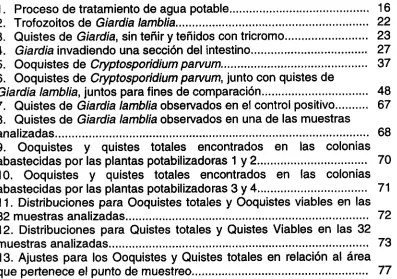Figura 