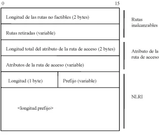 Figura  2.9:  Formato  del  mensaje  UPDATE 