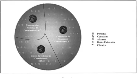 Figura 1 