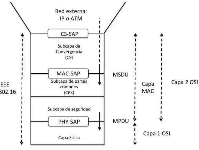 Figura 4: Capas de protocolos del estándar 802.16 