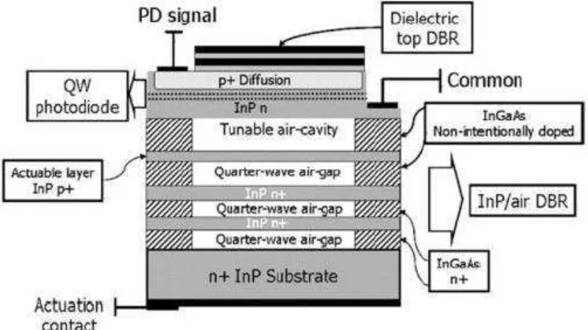 Figure 2.2 Generic structure of the InP/InGaAs photodetector [17] 