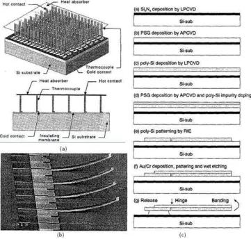 Figure 2.7, the ideal structure, fabrication process and obtained structure are shown