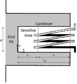 Figure 3.2 Top view of cantilever thermopile [35] 