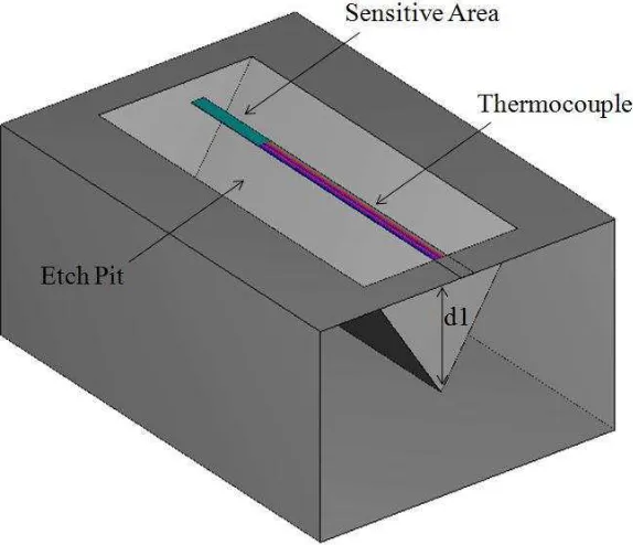 Figure 3.3 Cantilever thermopile designed using COMSOL Multiphysics®. The anterior face is suppressed 