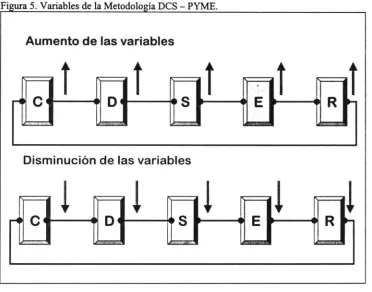 Figura 5. Variables de la Metodología DCS ­ PYME. 