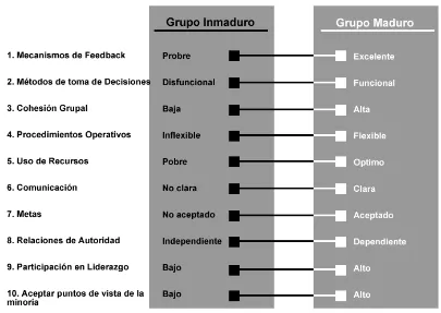 Figura 5.- Escala de madurez de los grupos  (Schermerhorn, Hunt y Osborn, 2008).  