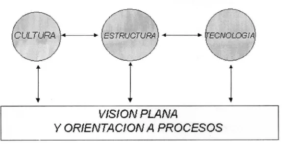Figura 2.1. Conceptualización en Tegrafik 