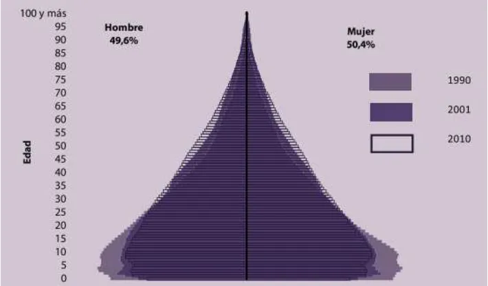 Figura 7: Pirámide poblacional nacional 1990 - 2010 