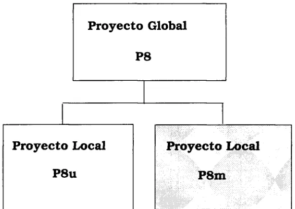 Figura 8. Estructura de Proyectos 