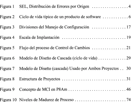 Figura 1 