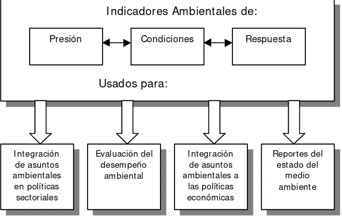 Figura 4.3.1 Uso de los indicadores ambientales (OCDE, 1994).