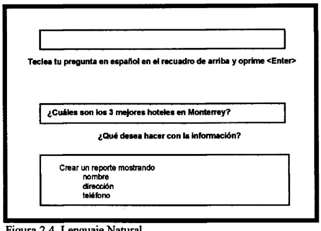 Figura 2.4. Lenguaje Natural. 