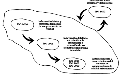 Figura 1.2. Secuencia para determinar el estándar ISO a utilizar. 