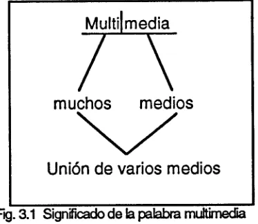 Fig.3.1 Significado de la palabra multimedia 