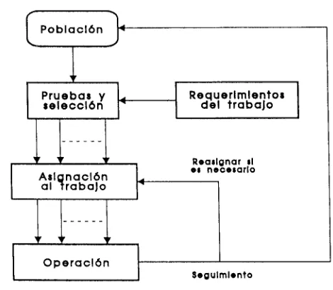 figura 5.1 muestra los elementos del proceso de selección de personal. 