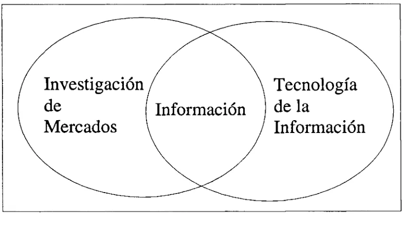 Figura 2.1 La información en la Investigación de mercados y la tecnología de información