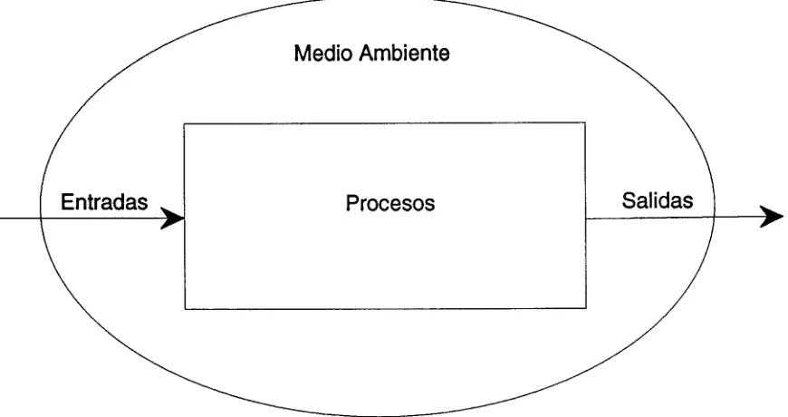 Figura 4.2 Elementos característicos de una sistema. 