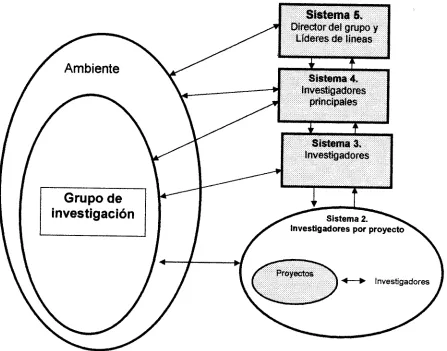 Figura 2.3. Esquema de modelo de sistema viable. 