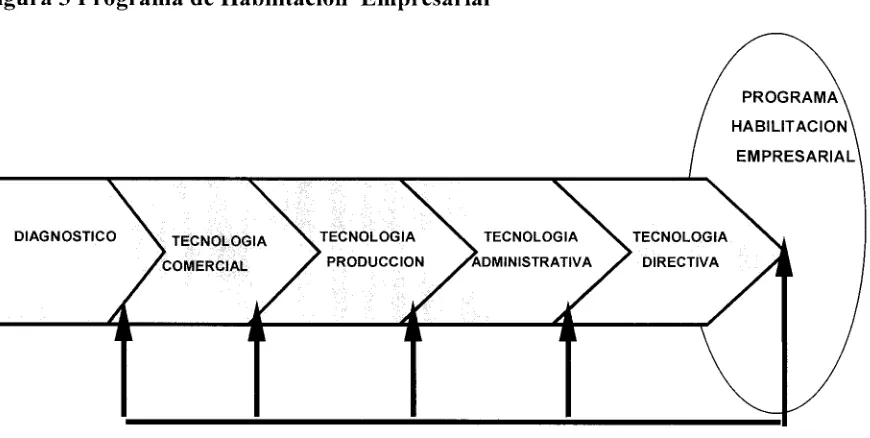 Figura 3 Programa de Habilitación Empresarial 