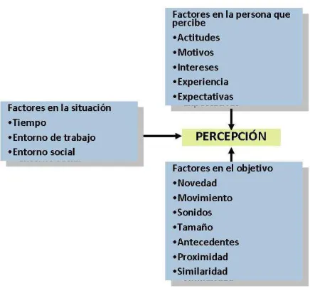 Figura 3.  Factores que influyen en la percepción (Robbins, 2004) 