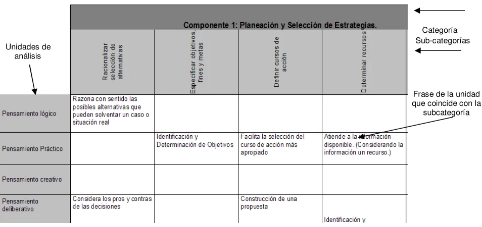 Figura 4. Hoja de codificación  (segmento). 