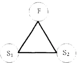 Figura 2.8. Diagrama sencillo básico de análisis campo ­sustancia