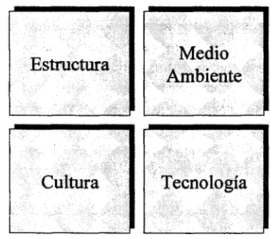 Fig. 2.4  Factores que  influencian el Aprendizaje  Organizacional. 