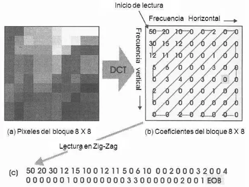 Figura 7. DCT. 