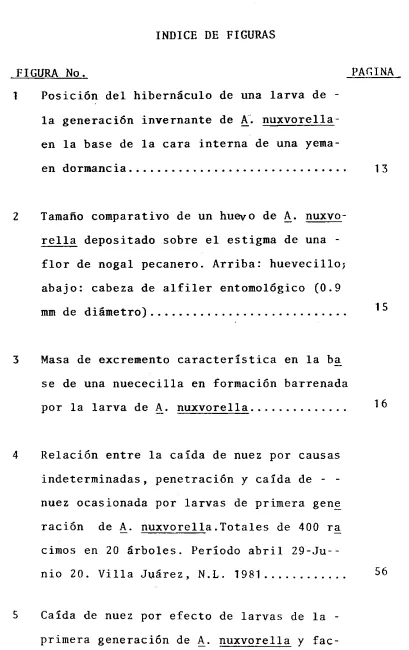FIGURA No. 