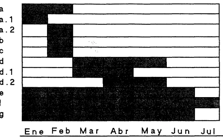 Fig. 1 Gráfica de Gant del Desarrollo de Tesis 