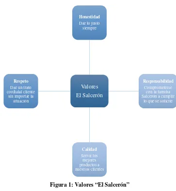 Figura 1: Valores “El Salcerón” 