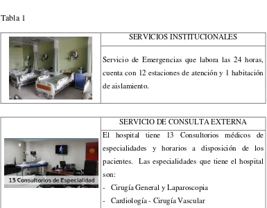 Tabla 1 SERVICIOS INSTITUCIONALES 