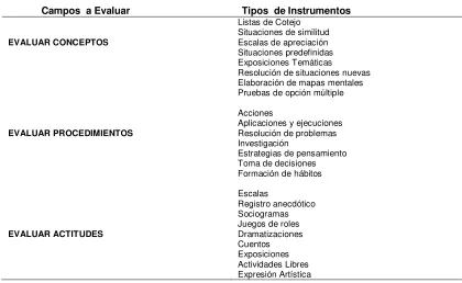 Tabla 4  Algunas consideraciones para la Evaluación Integral  