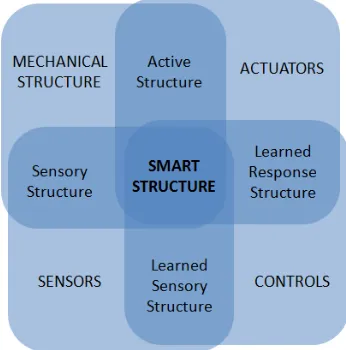 Figure 1 ­ Smart structure model 