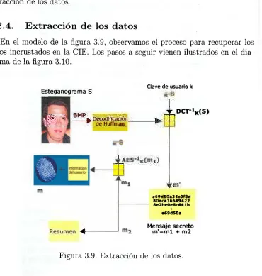 Figura 3.9: Extracción de los datos. 