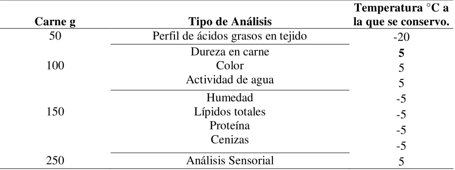 Figura 2. Cortes de la canal.  