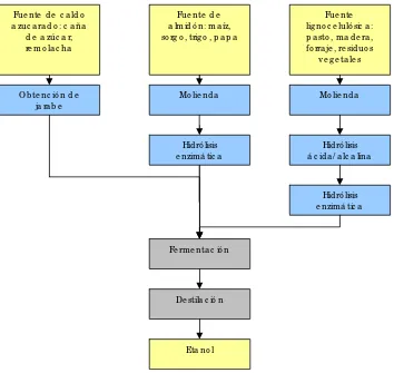 Figura 1.3.1. Proceso general para la producción de etanol a partir de diferentes materias primas  