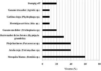 Figura 2. Plagas y enfermedades asociadas a plántulas de caoba en viveros gubernamentales del estado de Veracruz