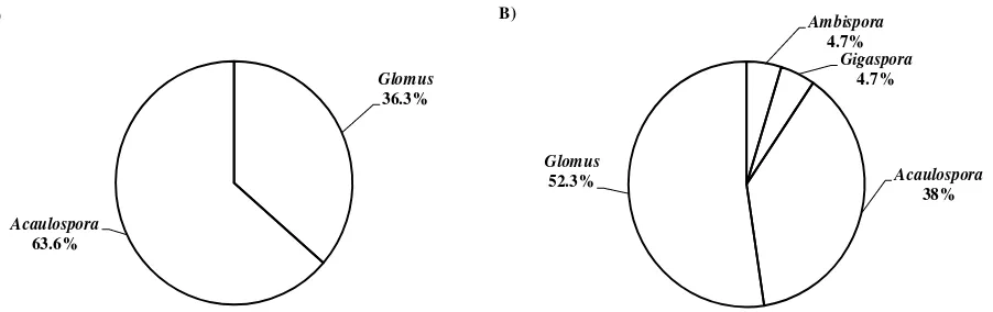 Figura 5. (A) y árboles maduros (B) de Distribución porcentual de los géneros de HMA asociados con la rizósfera de plántulas Swietenia macrophylla en un bosque tropical de Los Tuxtlas, Veracruz