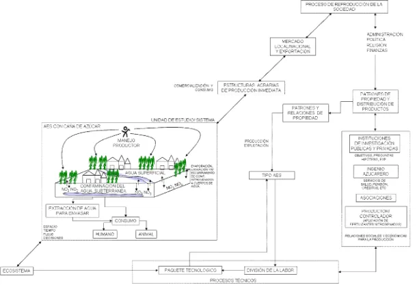 Figura 1. Modelo teórico-conceptual para el análisis del agroecosistema cañero y los efectos del manejo 