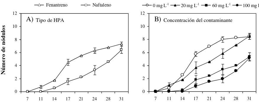 Figura 5. Dinámica de aparición de nódulos formados por Rhizobium en raíces de Leucaena 
