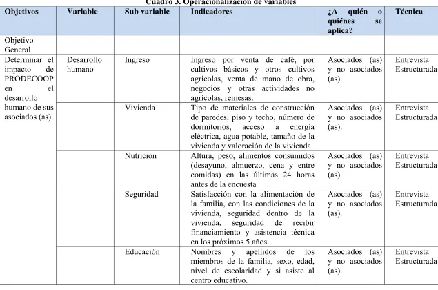 Cuadro 3. Operacionalización de variables