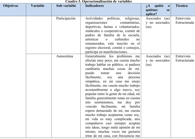 Cuadro 3. Operacionalización de variables