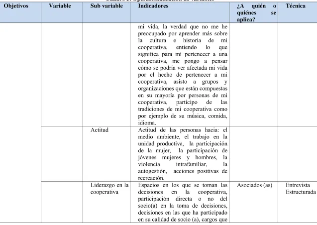 Cuadro 3. Operacionalización de variables