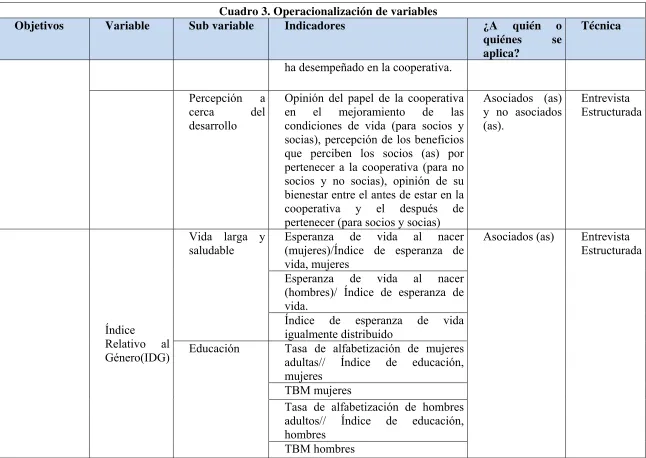 Cuadro 3. Operacionalización de variables