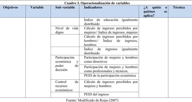 Cuadro 3. Operacionalización de variables