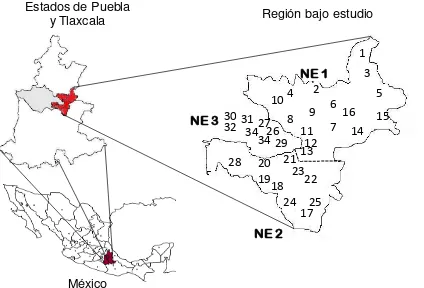 Figura 2. Ubicación geográfica del área de estudio y localidades dentro de cada nicho ecológico (NE)