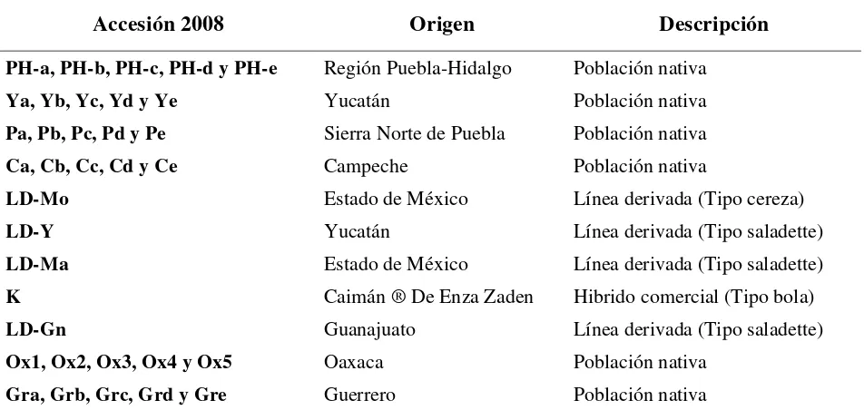 Cuadro 4. Origen y tipo de población nativa de jitomate del Centro, Sur y Sureste de México, líneas derivadas y un cultivar comercial